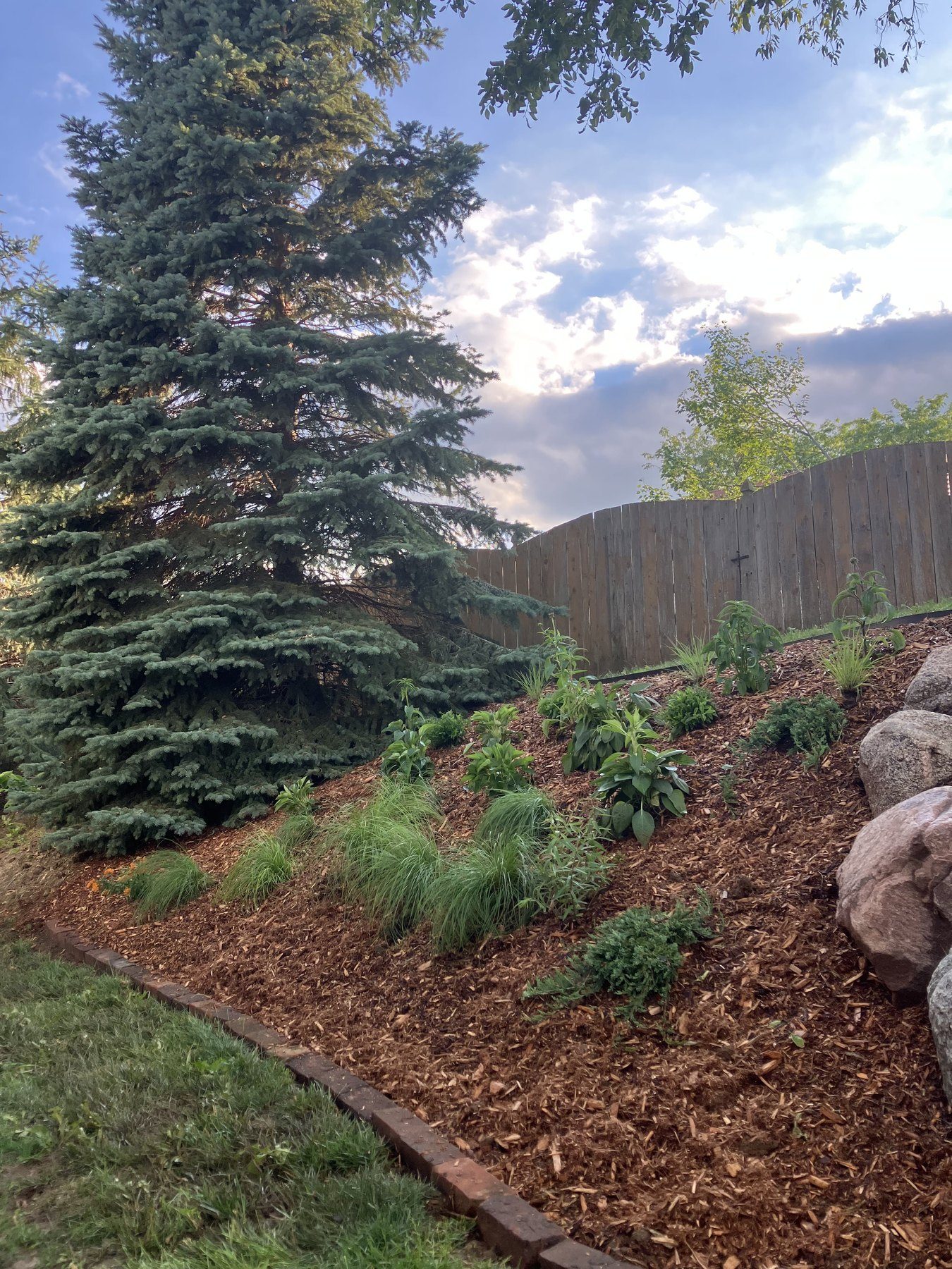 Completed Omaha landscape bed designed with natural stone, mulch and layered plantings