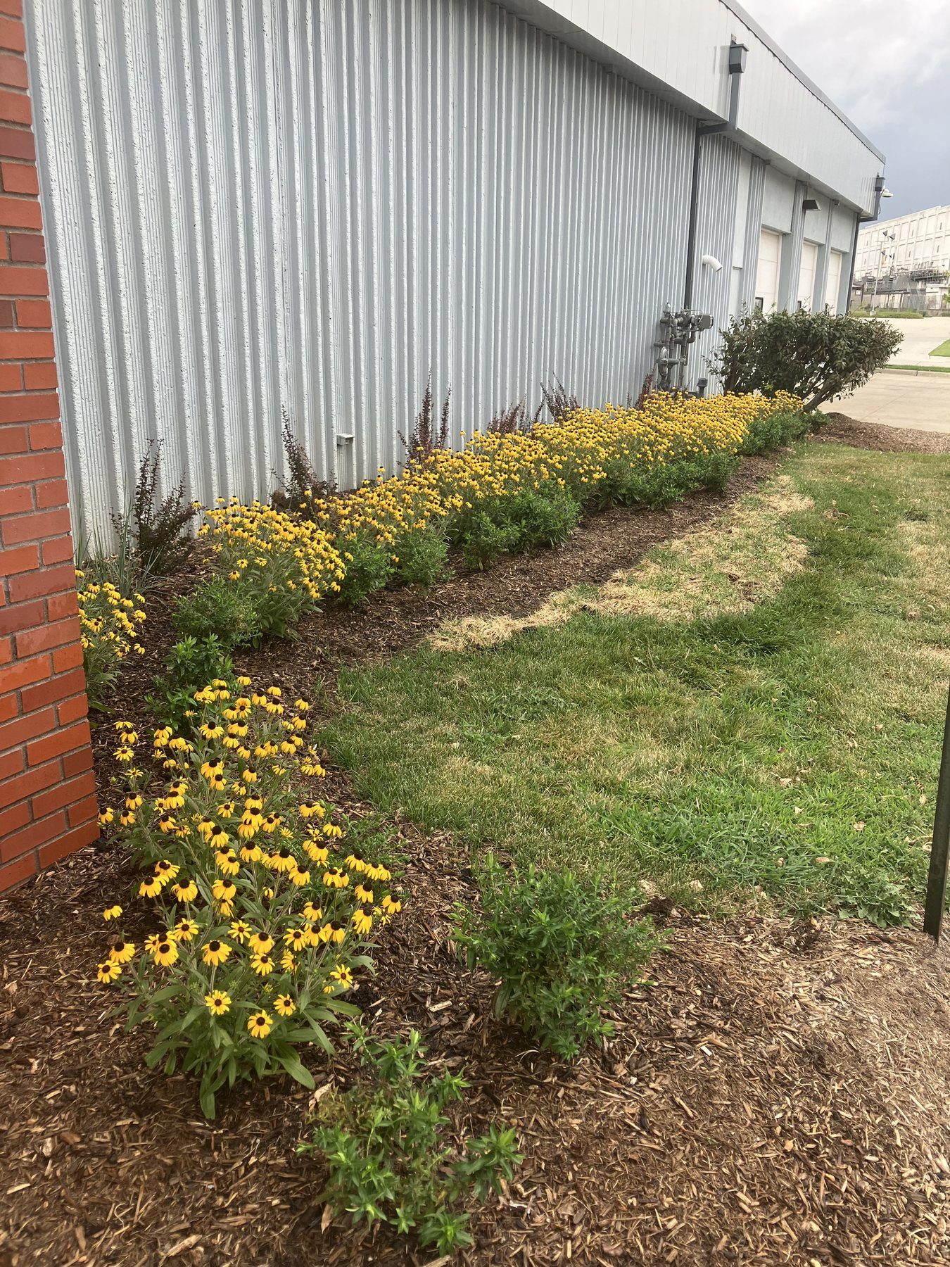 Installed flowering landscape bed by The Tree Daddy in Omaha