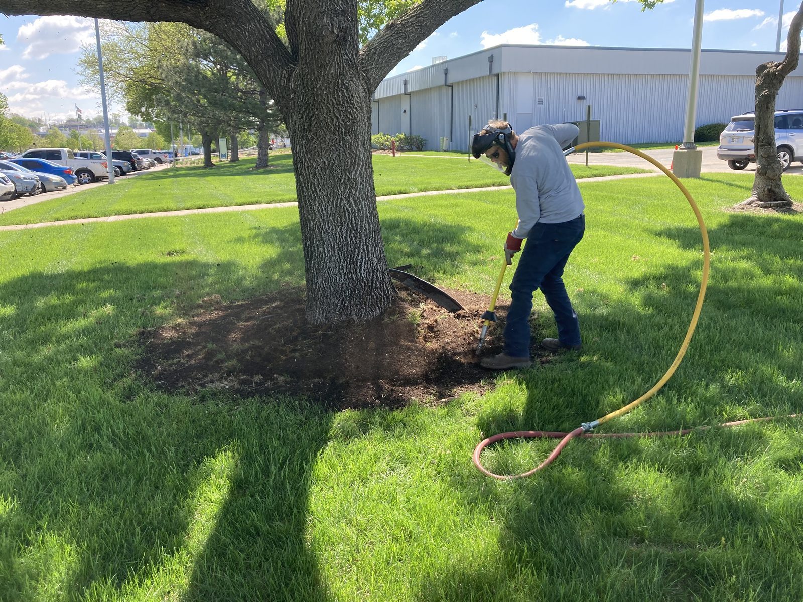 Root collar excavation being performed on a mature tree in Omaha